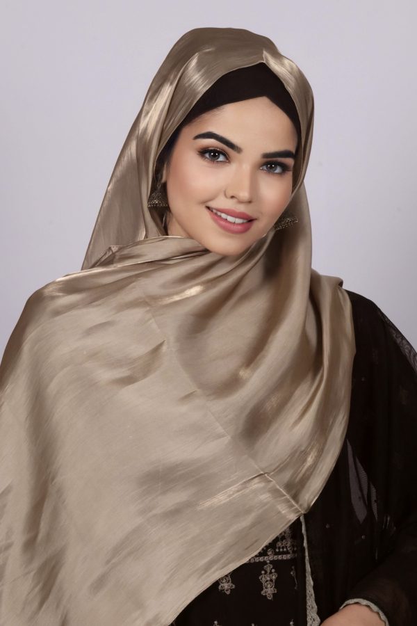 Golden Beige Premium Organza Hijab