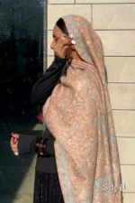 Noorjahan Double Sided Pashmina Shawl - Image 4