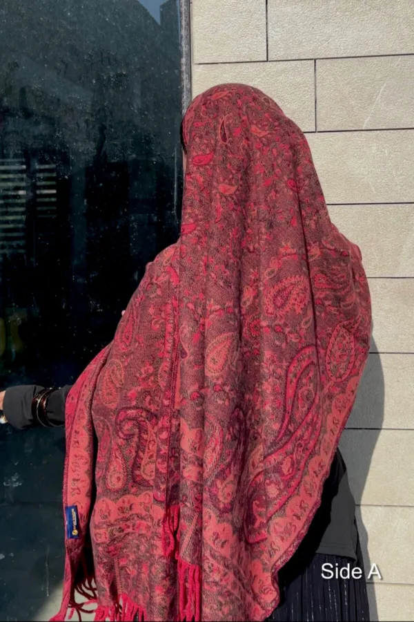 Anarkali Double Sided Pashmina Shawl - Image 2