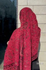 Anarkali Double Sided Pashmina Shawl - Image 3