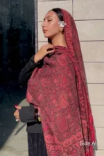 Anarkali Double Sided Pashmina Shawl - Image 4