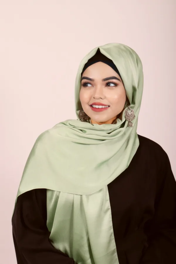 1CB45AD8-C59E-4C8B-9A5C-33C51840A360.jpeg Apple Turkish Silk Hijab - Image 1