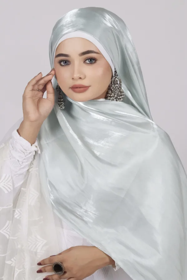 1DC2DE26-847F-48EF-A57F-591498601DBC-1.jpeg Pastel Green Premium Organza Hijab - Image 1