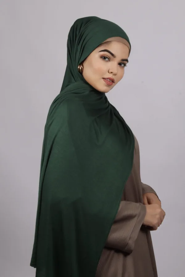 43DD96A5-AB44-4C9F-BE05-0E60503EE2D6-1.jpeg Lush Green Classic Jersey Hijab - Image 1