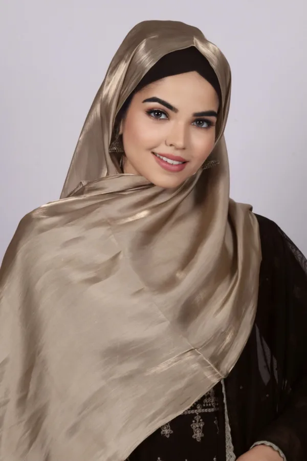 Golden Beige Premium Organza Hijab - Image 2