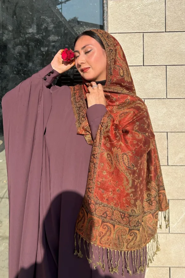 Haneen pashmina Hijab - Image 1