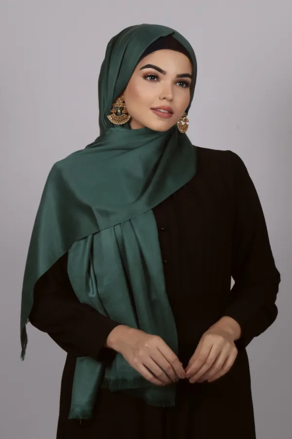 79756951-72BF-496B-9CB5-3E1EE3DA1936.jpeg Emerald Luxe Silk Hijab - Image 1