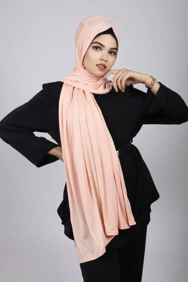 80E68637-E898-4364-9242-7FFAE8EA8B98-1.jpeg Flemingo bamboo Jersey Hijab - Image 1