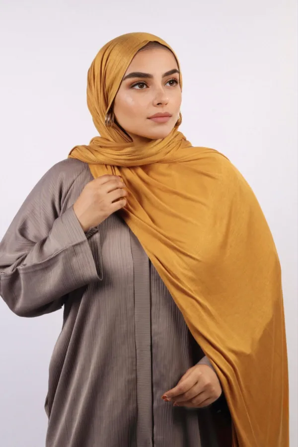 8E012BC7-04C4-42D1-9D83-310C50504544-1.jpeg 24 Carat Classic Jersey Hijab - Image 1