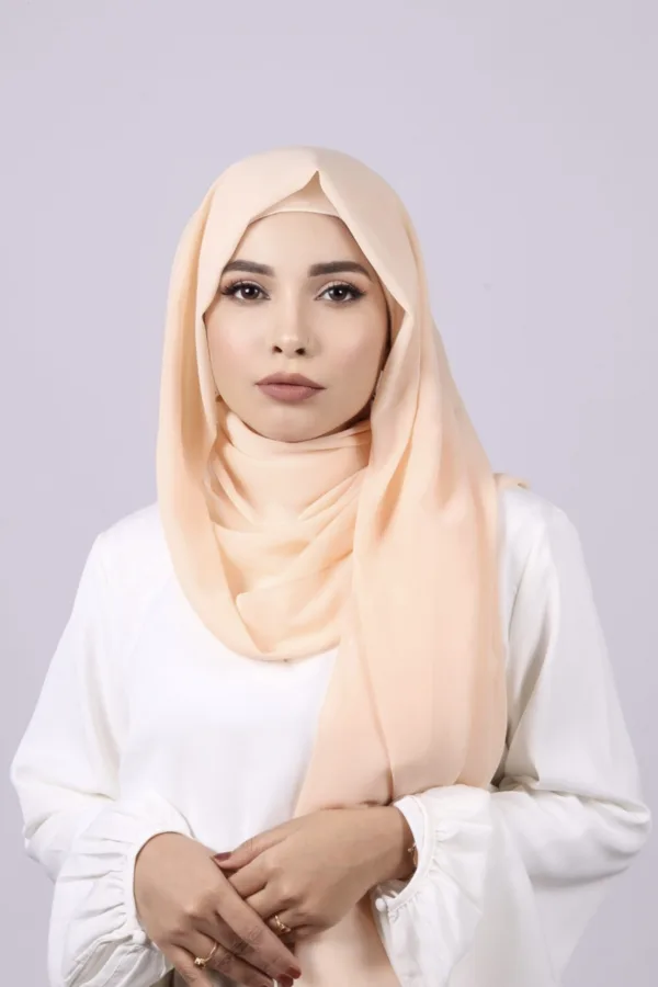 E3A2F1E2-CB68-4107-8ADE-53FE418D217C-2.jpeg Blush Premium Chiffon Hijab - Image 1